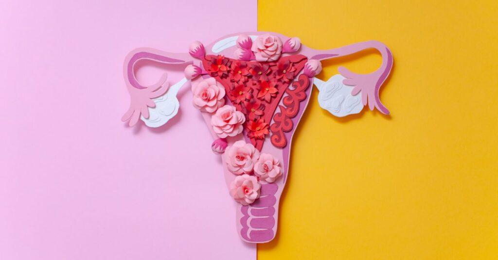 Ein stilisierter Uterus