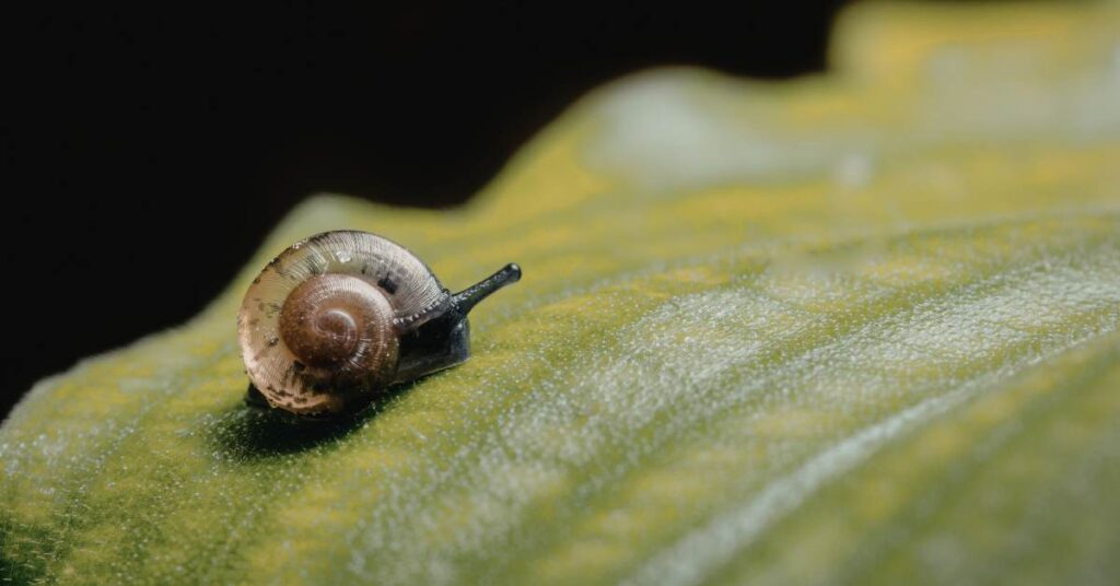 Meine Geschichten dürfen in ihrem eigenen Tempo wachsen