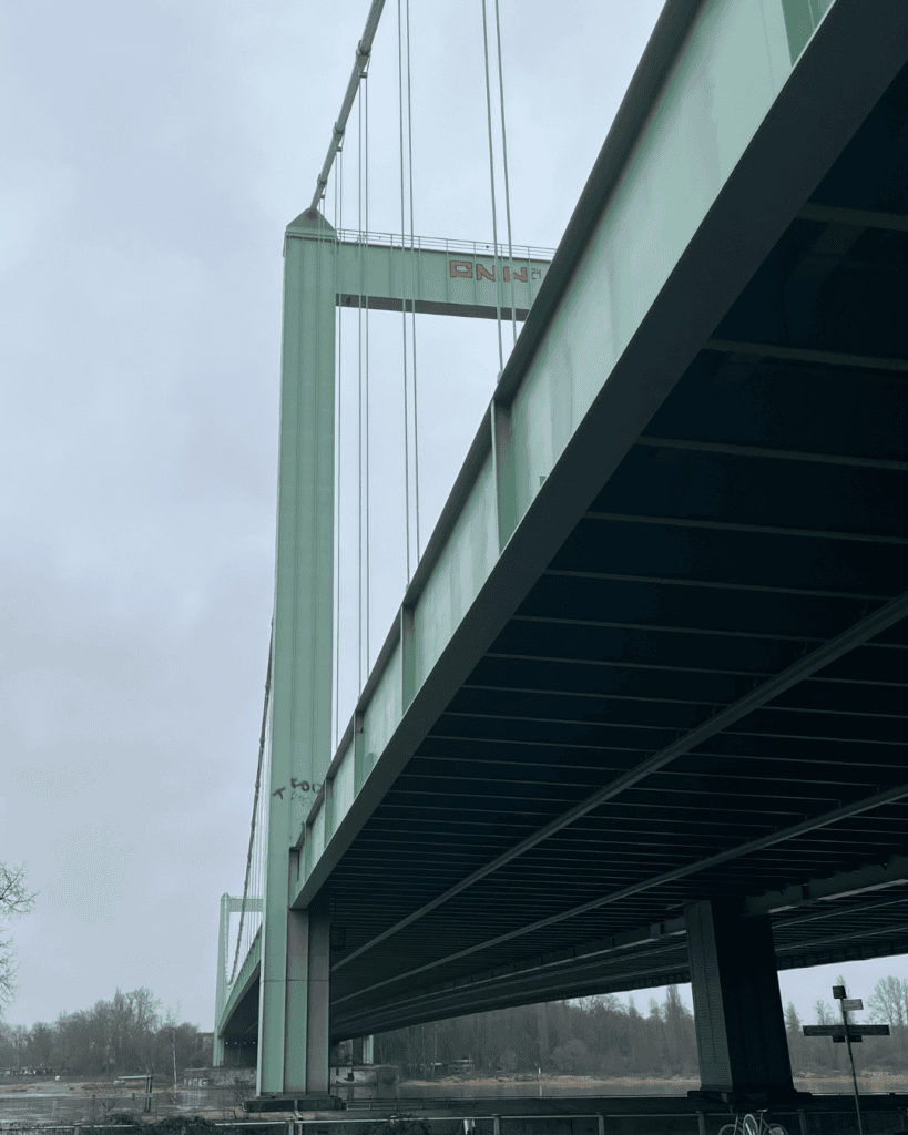 Die Rodenkirchener Brücke